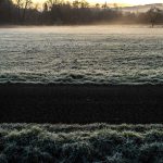 Harga Emas Galeri 24, UBS, Antam & Antam Retro Hari ini 17 April 2026