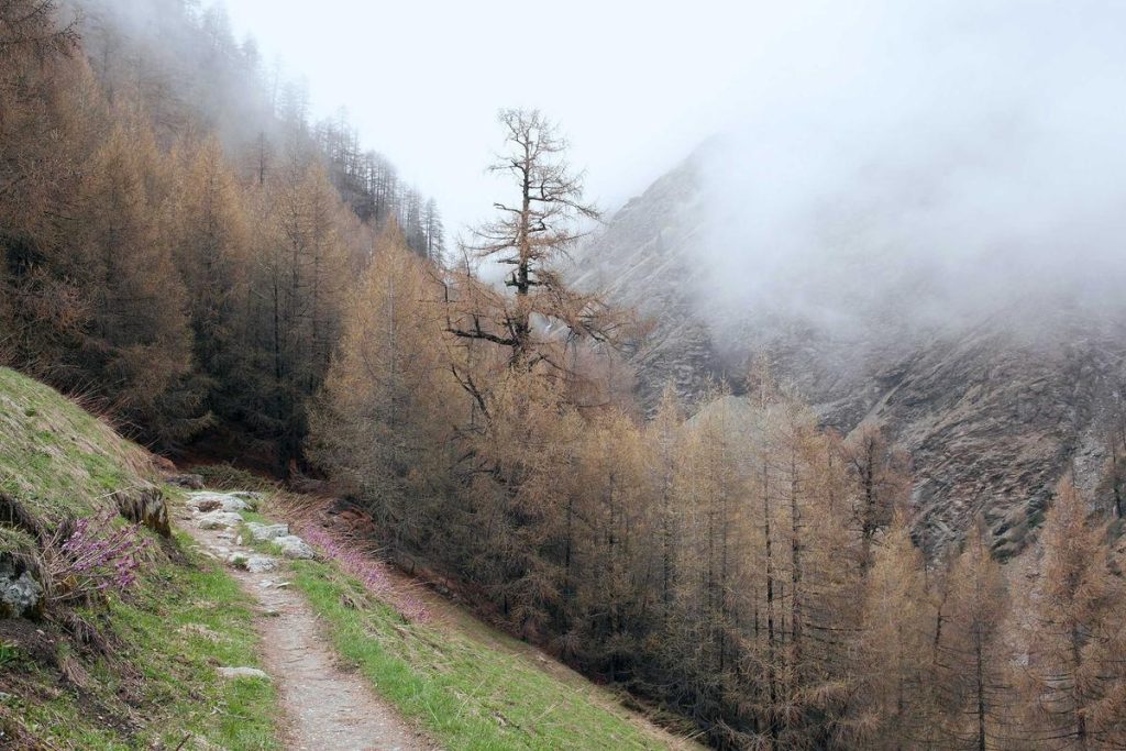 Harga Emas Termurah dalam Hampir 3 Minggu, Jual atau Beli? – Market