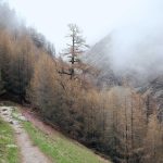 Harga Emas Termurah dalam Hampir 3 Minggu, Jual atau Beli? – Market