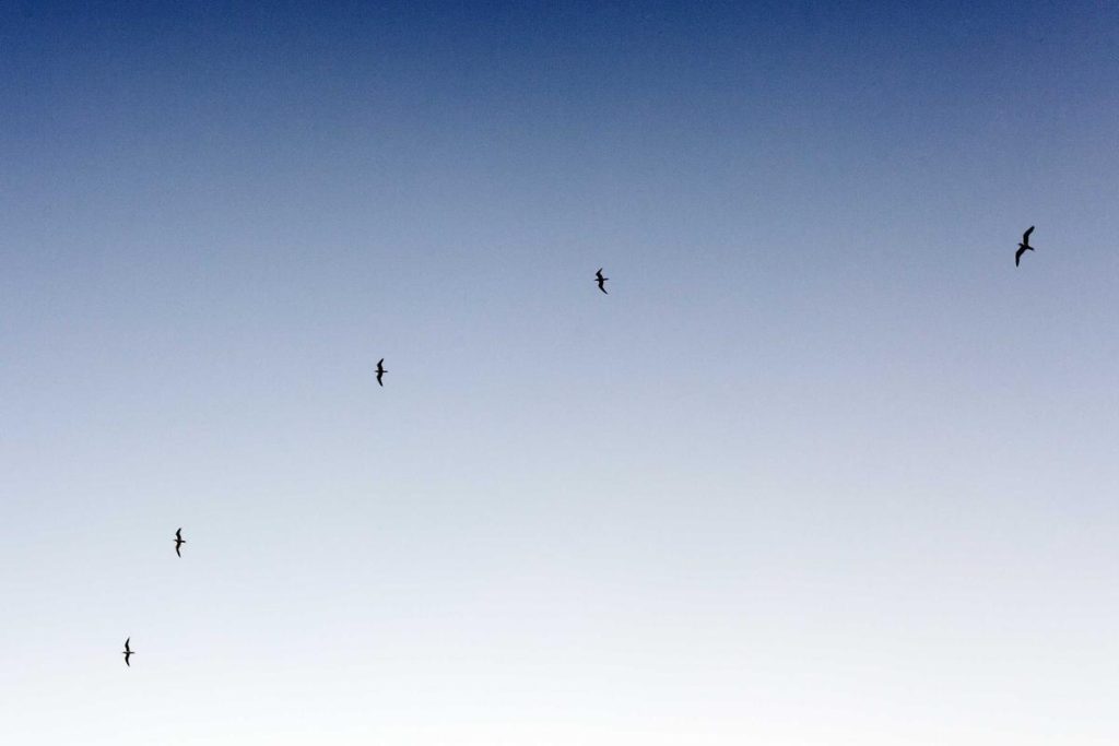 Harga Emas Antam Hari Ini, Jumat (24/4) Tidak Berubah di Level Rp 2.805.000 Per Gram