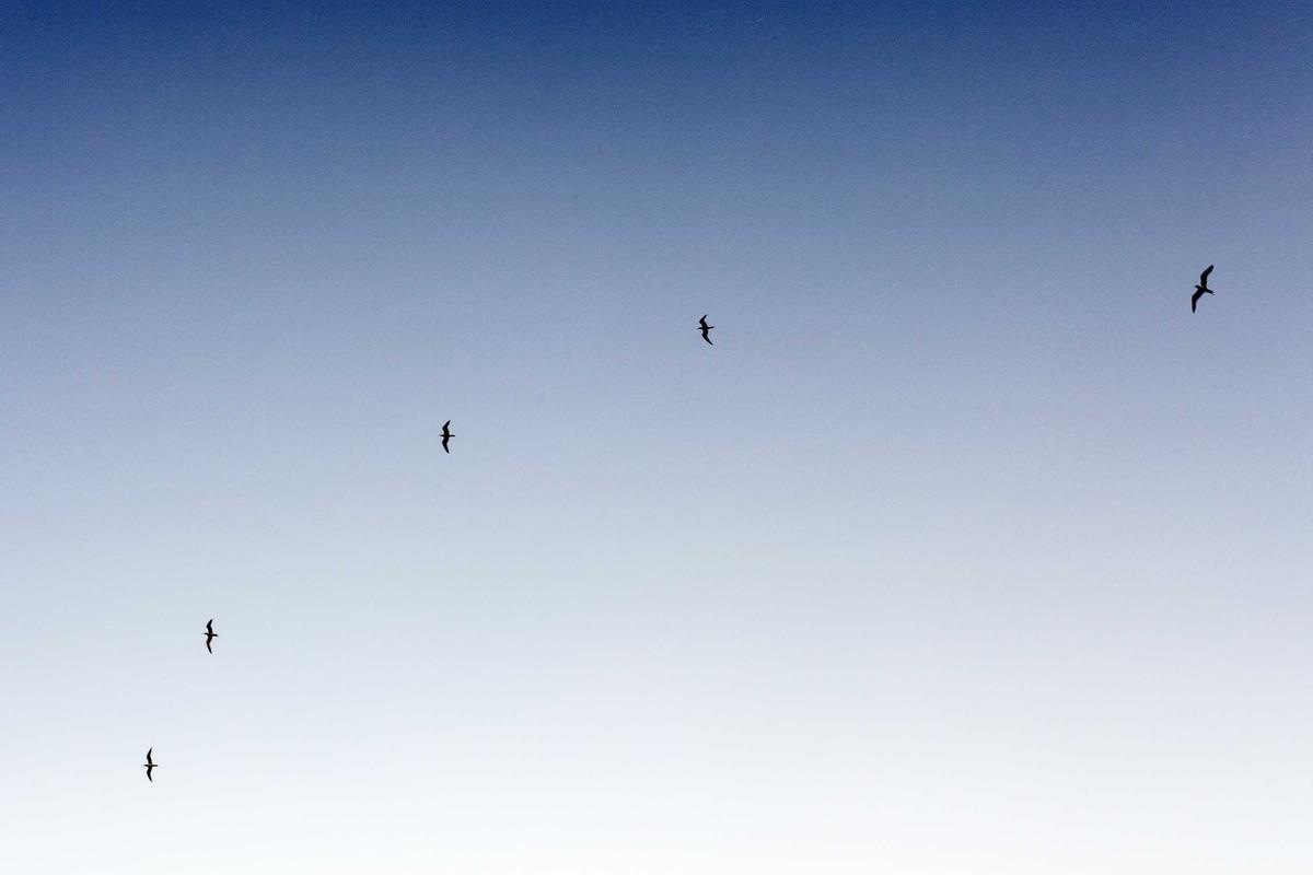 Harga Emas Antam Hari Ini, Jumat (24/4) Tidak Berubah di Level Rp 2.805.000 Per Gram