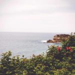 Harga emas Antam hari ini tak bergerak