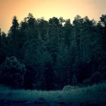 Harga Emas Antam Hari Ini Tak Berubah