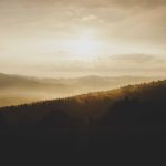 Harga Emas Perhiasan Hari Ini, Jumat 24 April 2026, Cek Update -nya