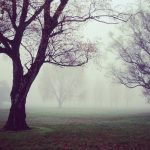 Harga emas di Pegadaian hari ini: UBS, Antam, dan Galeri24 kompak naik