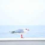 Harga Emas Galeri 24, UBS, Antam & Antam Retro Hari Ini Naik Semua