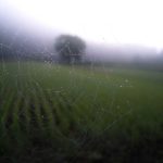 Harga emas hari ini (27 April): Emas batangan dan cincin emas tetap tidak berubah.