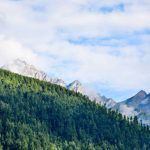 Harga Emas Hari Ini Stabil di Tengah Gejolak Global, Cek Peluang Investasi