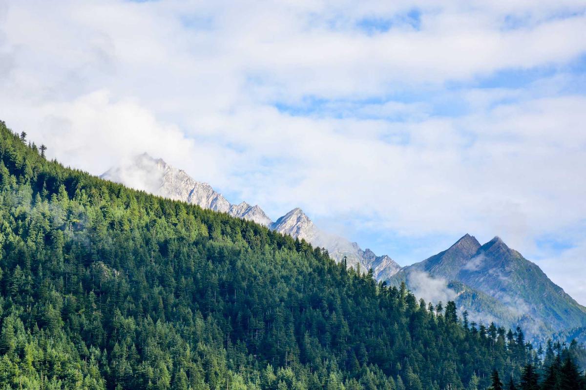 Harga Emas Hari Ini Stabil di Tengah Gejolak Global, Cek Peluang Investasi