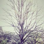 Analisis Dinamika Harga Emas Hari Ini: Strategi Investasi di Tengah Ketidakpastian Global