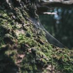 Harga Emas Antam Hari Ini Turun Banyak, Ayo Beli Mumpung Anjlok – GenPI.co