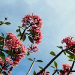 Bergerak Berlawanan Arah! Harga Emas Hari Ini Senin, 27 April 2026 Menguat dan Terkoreksi