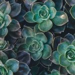 Harga Emas Galeri 24, UBS, Antam & Antam Retro Hari Ini Jatuh Semua