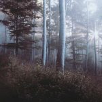 Harga Emas Antam Sore Ini, Catat Tempat Beli Emas Terpercaya!