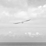 Harga Emas Pegadaian Hari Ini 29 April 2026: UBS dan Galeri24 Turun, Antam Justru Naik