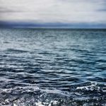 Analisis Dampak Fluktuasi Harga Emas Hari Ini Terhadap Pasar Domestik dan Keputusan Investasi