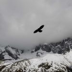 Harga Emas Hari Ini Melonjak Usai Cetak Rekor Tertinggi Dalam Sebulan