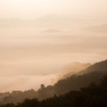 Penyebab Harga Emas Antam Hari Ini Naik Rp16.000