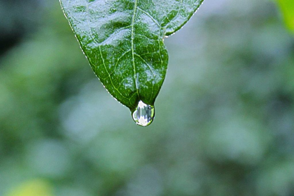 Harga Emas Hari Ini, Ahad 19 April 2026