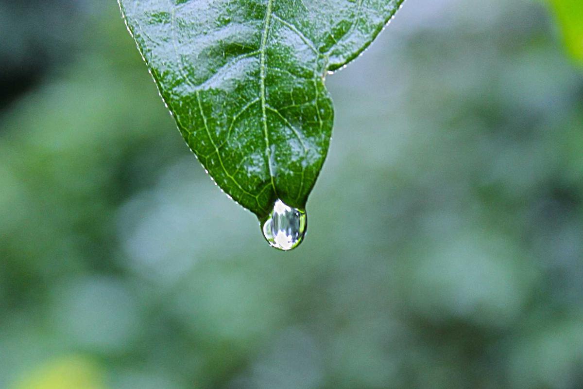 Harga Emas Hari Ini, Ahad 19 April 2026