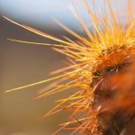 UPDATE Harga Emas Per Mayam di Aceh Hari Ini 19 April 2026: Abdya & Lhokseumawe Masih Stagnan