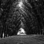 Harga Emas Antam Hari Ini Anjlok, Buyback Juga Jeblok