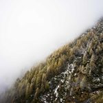 Harga Emas Galeri 24, UBS, Antam & Antam Retro Hari Ini 20 April 2026