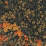 Harga Emas Naik Tipis Usai ‘Terluka Dalam’, Pilih Jual atau Beli? – Market