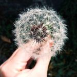 Update Harga Emas Hari Ini 23 April 2026: Antam Makin Nyungsep!