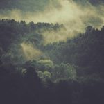 Harga Emas Antam (ANTM) Hari Ini, Sabtu 25 April 2026: Melonjak Kuat