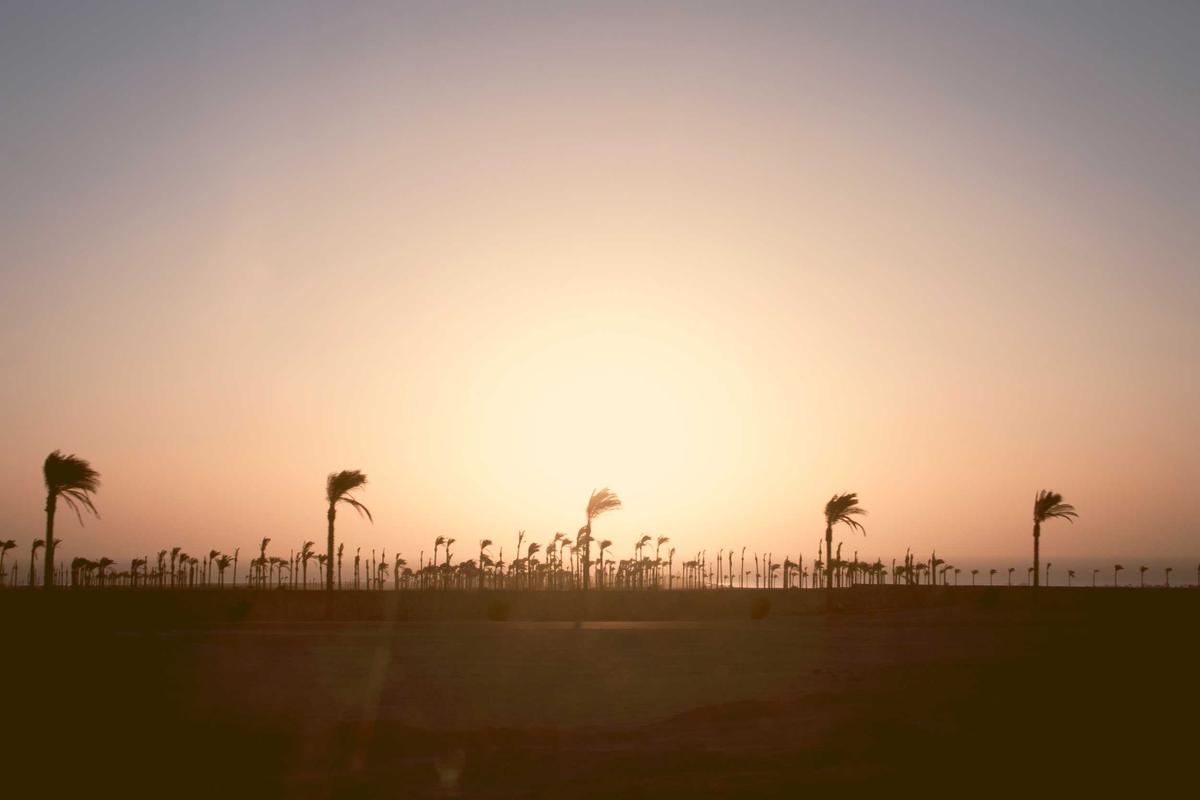 Harga Emas Perhiasan Hari Ini 25 April 2026: Termurah Sentuh Level Segini