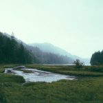 Harga Emas Antam Hari Ini Sabtu 25 April 2026 Naik Rp20 Ribu, Buyback Rp2,636,000 Per Gram