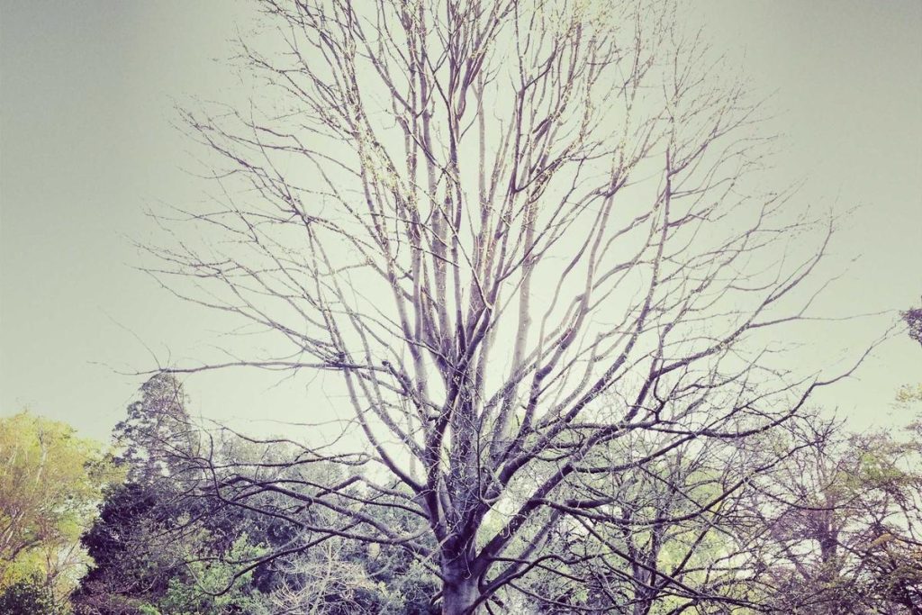 Analisis Dinamika Harga Emas Hari Ini: Strategi Investasi di Tengah Ketidakpastian Global