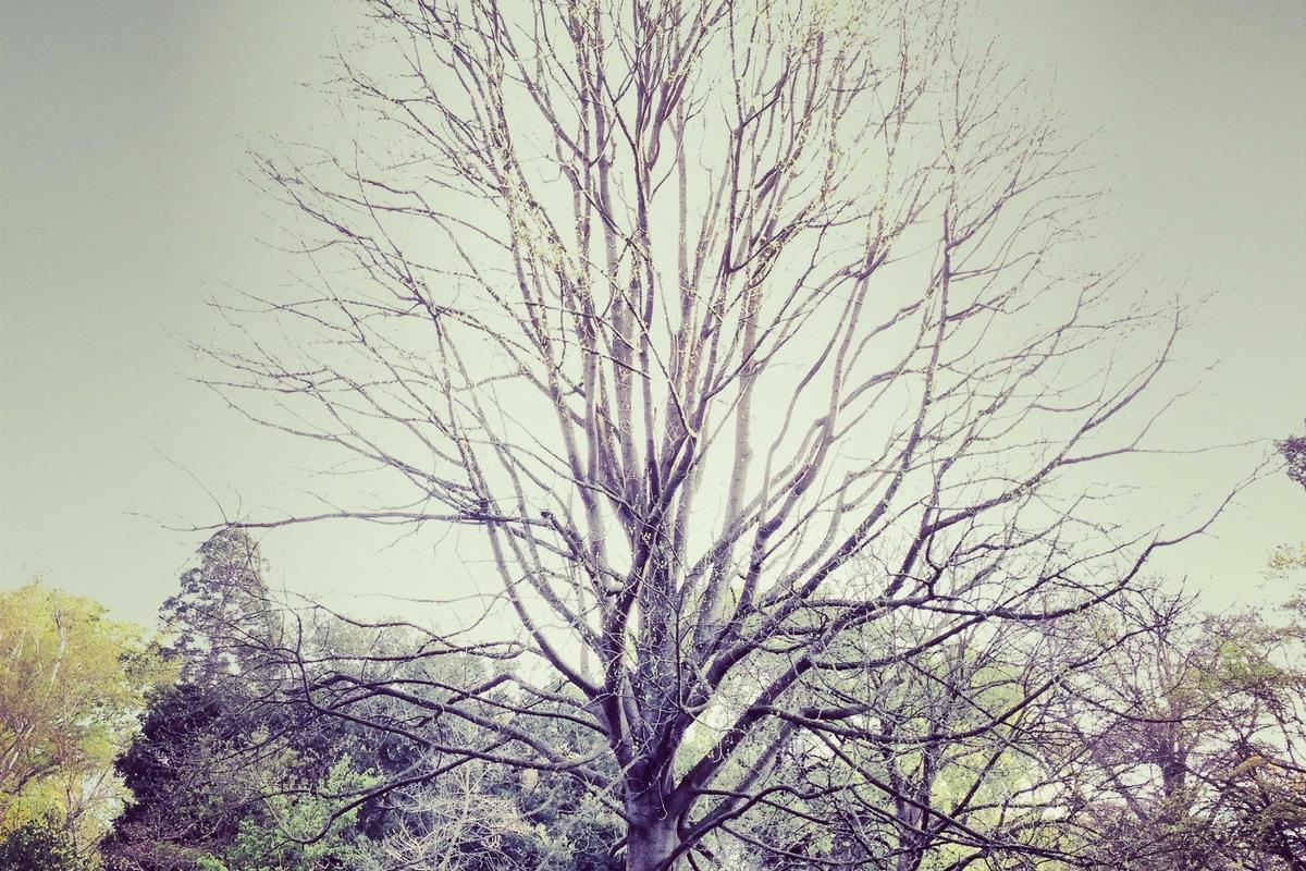 Analisis Dinamika Harga Emas Hari Ini: Strategi Investasi di Tengah Ketidakpastian Global