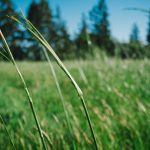 Harga Emas Antam 29 April 2026 Turun Menjadi Rp2.784.000 Per Gram